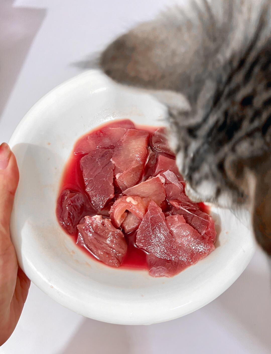 Will Cats Be Healthier Eating Raw Meat? Uncovering the 