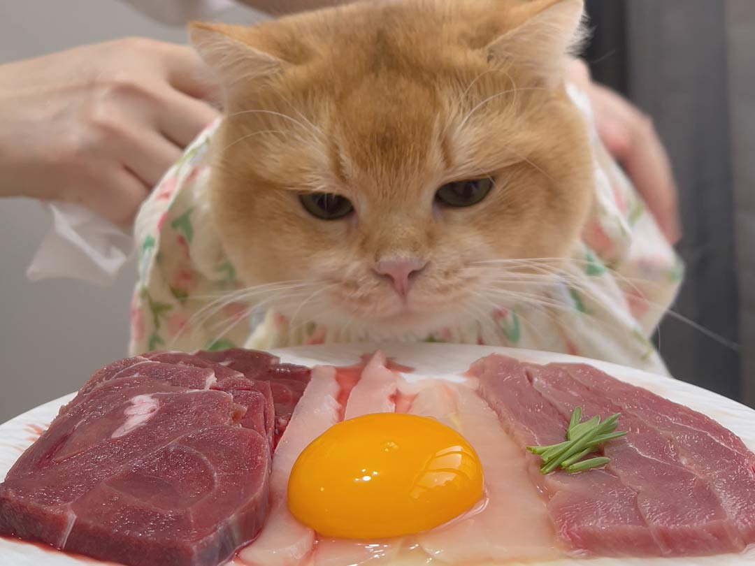 Will Cats Be Healthier Eating Raw Meat? Uncovering the 